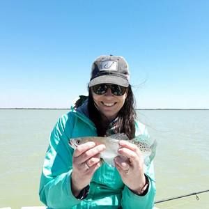 Meet your Posher, Renee